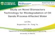 Study on Novel Bioreactors Technology for Biodegradation of Oil … · 2016. 1. 22. · Bioreactor Process Train. ... MBBR and MABR can supply a good microenvironment for specialized