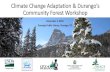 Climate Change Adaptation & Durango’s Community Forest ... · Climate Change Assessments 1. DEFINE location, management goals, objectives, and timeframe 2. ASSESS climate change