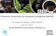 Economic incentives to conserve orangutan habitatmpoc.org.my/upload/Paper7_Dr_Johannes.pdf · Economic incentives to conserve orangutan habitat. Dr. Johannes Refisch, UNEP GRASP.