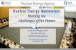 Nuclear Energy Innovation€¦ · Nuclear Energy Luxembourg Conceptual design SMR Categories: MMRs • Many regulatory issues to be resolved • Non-LWR technologies • Uncertainties