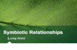 Symbiotic Relationships - McClurg Science · 2019. 11. 27. · Symbiosis The word symbiosis literally means 'living together,' but when we use the word symbiosis in biology, what