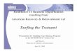 Healthcare IT Business Opportunities resulting from American Recovery & Reinvestment Act · 2017. 4. 30. · American Recovery & Reinvestment Act Surfing the Tsunami Presentation