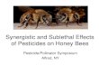 Synergistic and Sublethal Effects of Pesticides on Honey Bees · Selected Pesticides fond in WAX, POLLEN and BEES. P esticide o r M etab ol ite Class LOD Sa m ples A n aly z ed T
