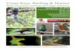 Costa Rica: Birding & Nature - Naturalist JourneysCosta Rica: Birding & Nature With Naturalist Journeys & Caligo Ventures Naturalist Journeys, LLC / Caligo Ventures PO Box 16545 Portal,