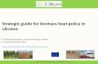Strategic guide for biomass heat policy in Ukraine - WUR · Level of infrastructure (forest roads, forestry mechanization, and logistic fleet) necessary to support the wood biomass