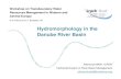 Hydromorphology in the Danube River Basin ... Hydromorphological situation in the Danube River Basin