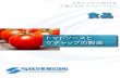トマトソースと ケチャップの製造 - Silverson...トマトソースは冷凍食品、パスタソース、 ピザトッピングなど、 さまざまな製品に使わ