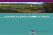 A profile of rural health in Wales · A profile of rural health in Wales The perception of what a rural environment means for health varies. Many people think of a “rural idyll”