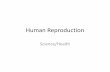 Human Reproduction - sewardhomepage.weebly.comsewardhomepage.weebly.com/uploads/5/7/4/4/5744722/human_repr… · Human Reproduction Science/Health . Male Reproductive System •Testes