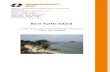 Save Turtle Island - DiVA portalmdh.diva-portal.org/smash/get/diva2:424765/FULLTEXT01.pdf · 2011. 6. 20. · Save Turtle Island: A case study about the sustainability of tourism