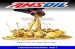 TO ORDER – Call 1-800-956-5695, 7 a.m. to 7 p.m. Central ...superoilcentral.com/.../06/amsoil...states-03-2016.pdfracing headlines in AMSOIL Magazine. You CAN REGISTER AS A 0 # OVER