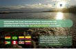 DEVELOPING THE LEGAL AND INSITUTIONAL FRAMEWORK FOR ... · (INPA-SINCHI-IIAP) HYDROCLIMATIC VULNERABILITY ATLAS OF THE AMAZON BASIN (1:1,000,000) ANALYSIS of hydroclimatic threats