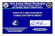 New Jersey Shore Protection STREAMBANK STABILIZATION OF ...€¦ · 20/05/2009  · New Jersey Dept. Environmental Protection. Bureau of Coastal EngineeringBureau of Coastal Engineering