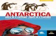 ANTARCTICA - Lindblad Expeditions · Cover photos: (Top) A waddle of Adélie penguins teeter across the snow. (Bottom) A Lindblad-National Geographic guest surveys the Antarctic ice.