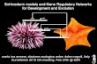Echinoderm models and Gene Regulatory Networks for ... · maria ina arnone, stazione zoologica anton dohrn napoli, italy EuroMarine 2015 GA meeting, Feb 24th @ SZN Echinoderm models