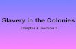 Slavery in the Colonies...Slavery spread to the colonies of other European countries, where it became a regular part of trade and provided cheap labor to Southern plantations. The