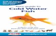 Your guide to Cold Water Fish - Jollyes.co.uk · At home with your Cold Water Fish Fish bowls or Aquariums - Goldfish can live in special fish bowls, aquariums, tanks or garden ponds.