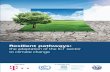 Resilient pathways: the adaptation of the ICT sector to climate change · 2020. 9. 15. · Resilient pathways: The adaptation of the ICT sector to climate change v Adapting the ICT