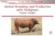 Animal Breeding and Production with Pedigrees Taylo Cooper · 2018. 12. 20. · Sex-linked Traits Trait linked to a sex chromosome-normally linked to X chromosome X-linked dominant
