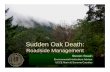 Sudden Oak Deathcemarin.ucdavis.edu/files/141060.pdf · Sudden Oak Death • Caused by Phytophthora ramorum – Fungus-like organism • 2 Diseases – Foliar blight (huge host list)