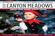 DECEMBER 2017 your CANYON MEADOWS€¦ · To be a Snow Angel all you have to do is adopt a sidewalk and keep it clear when it snows. Watch for people in your neighbourhood who could