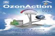 OzonAction - UN CC:Learn · The montreal Protocol is the only universally ratified1 international treaty and provides an outstanding example of shared responsibility, transparent