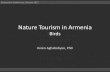 Nature Tourism in Armenia Nature Tourism in Armenia: Birds Ecotourism Conference, Yerevan 2017 Armenia