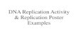 DNA Replication Activity & Replication Poster Examplesnewburyparkhighschool.net/stillwagon/biocp/files/DNA Replication Activity.pdfChromosome — Tightly packed DNA Free nucleotides