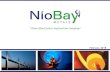 diversified junior exploration company’niobaymetals.com/wp/wp-content/uploads/2018/02/NioBay_Corporat… · 0.02% of Niobium in the Oresund bridge $300K of Nb & $25M in steel savings