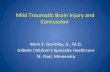 Mild Traumac Brain Injury and Concussion · • Not usually seen on neuro-imaging (CT or MRI) MN Youth Sports Concussion Law • 9/1/11 MN concussion law • All youth sports coaches