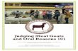 Judging Meat Goats and Oral Reasons 101 · Judging meat goats Note taking Presenting oral reasons is the most valuable experience you will have in livestock judging. it helps you