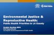 Environmental Justice & Reproductive Health€¦ · one incident of discrimination over her lifetime. •The most common reasons for experiencing discrimination varied by mother’s