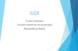 IUGR - كلية الطب€¦ · IUGR Growth-restricted fetuses are more likely to suffer Intrauterin hypoxia/asphyxia stillbirth demonstrate signs and symptoms of hypoxic-ischaemic
