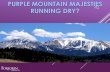 PURPLE MOUNTAIN MAJESTIES RUNNING DRY?(Donala WSD) Area 3 Costs & Timeline Participant 2050 Avg. Annual Demand AFY Current Renewable Water Supply Connected to System (AFY) Area 3 Total