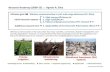 Research Roadmap (2009-15) :: Agnelo R. Silva · 2018. 2. 21. · Research Roadmap (2009-15) :: Agnelo R. Silva Ultimate goal Wireless communication in soil, mid-range distances (15..50m)