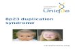 8p23 duplication syndrome - Chromosome 2018. 3. 22.آ  2 8p23.1 duplication syndrome An 8p23.1 duplication