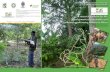 The Research and Training Platform in Partnership DP-PCP ... · The DP-PCP Agroforestry Cameroon is managed by 2 bodies where a ... action-research basis using experiments and modelling.