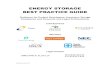 ENERGY STORAGE BEST PRACTICE GUIDE · 2020. 6. 2. · Energy Storage Best Practice Guide 4 Disclaimer The views, opinions, statements, analysis, and information contained in the Best