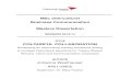 MSc Intercultural Business Communication Masters Dissertation · 2015. 4. 16. · MSc Intercultural Business Communication Masters Dissertation SESSION 2013/14 TITLE ... company currently