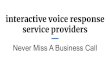 interactive voice response service providers