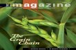 e grain Chain - The Ag Magazine · Page 21 and back cover photos provided by Scott Hostetler; ©ThinkStock.com _____ sen D letterscomments toAn: The Ag Magazine Editor Agricultural