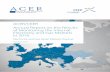 ACER/CEER Annual Report on the Results of Monitoring the ... M… · 18 In the EnC, contrary to the trends observed in the EU, industrial electricity prices are higher than household