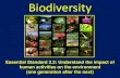 Biodiversity · Ecosystem Diversity Tropical rainforests are the most diverse of all the biomes, containing one-fifth of all ... endandgered in the future Endangered species are those