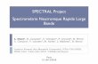 SPECTRAL Project Spectrométrie Neutronique Rapide Large … · ¹Institut Fresnel (Aix-Marseille Université), ²CEA-CAD/DER, ³IRSN-CAD, ⁴CEA-CAD/DTN, ⁵CENBG Bordeaux SPECTRAL