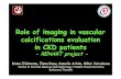 Role of imaging in vascular calcifications evaluation in ...renart.itc.ro/Downloads/Vascular_calcifications_RENART.pdf · RENART project The aim of RENART study is to develop a computer