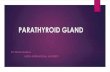 PARATHYROID GLAND - niu.edu.inniu.edu.in/son/online-classes/parathyroid-Presentation.pdf · PARATHYROID GLAND Human being have four parathyroid glands Situated at back surface of