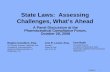 State Laws: Assessing Challenges, What’s Ahead...3705008.3 1 State Laws: Assessing Challenges, What’s Ahead A Panel Discussion at the Pharmaceutical Compliance Forum, October 28,