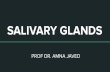 SALIVARY GLANDS - pgmipunjab.edu.pkpgmipunjab.edu.pk/system/files/Salivary glands.pdf · Salivary glands Mohammad Akheel Salivary glands -1 Parotid: 4-6"' week of I.U. life. Submandibular