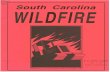 WILDFIRE · by adults, structure fires which ignite nearby woods, and unattended warming fires. Around 4-6% of SC wildfires are reported in this category. FIRE SEASON Forest tire