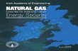 Essential for Ireland’s Future Energy Securityiae.ie/wp-content/uploads/2018/08/IAE_Natural_Gas... · Terry Nolan Don Moore Jim O’Brien David Timoney. 123452678297707THHE IRSACDMYCOYEAS